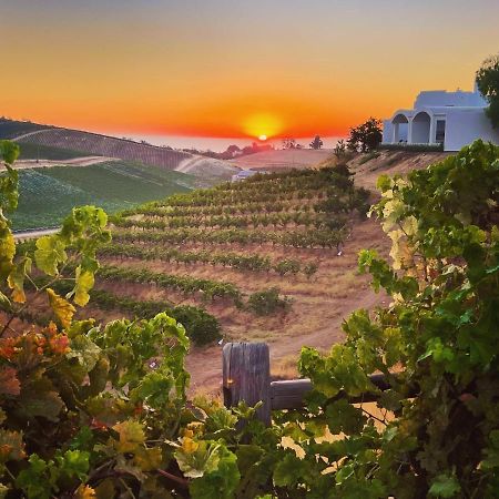 Sirena Vineyard Resort - 3 Bedroom Guest House Paso Robles Exterior photo