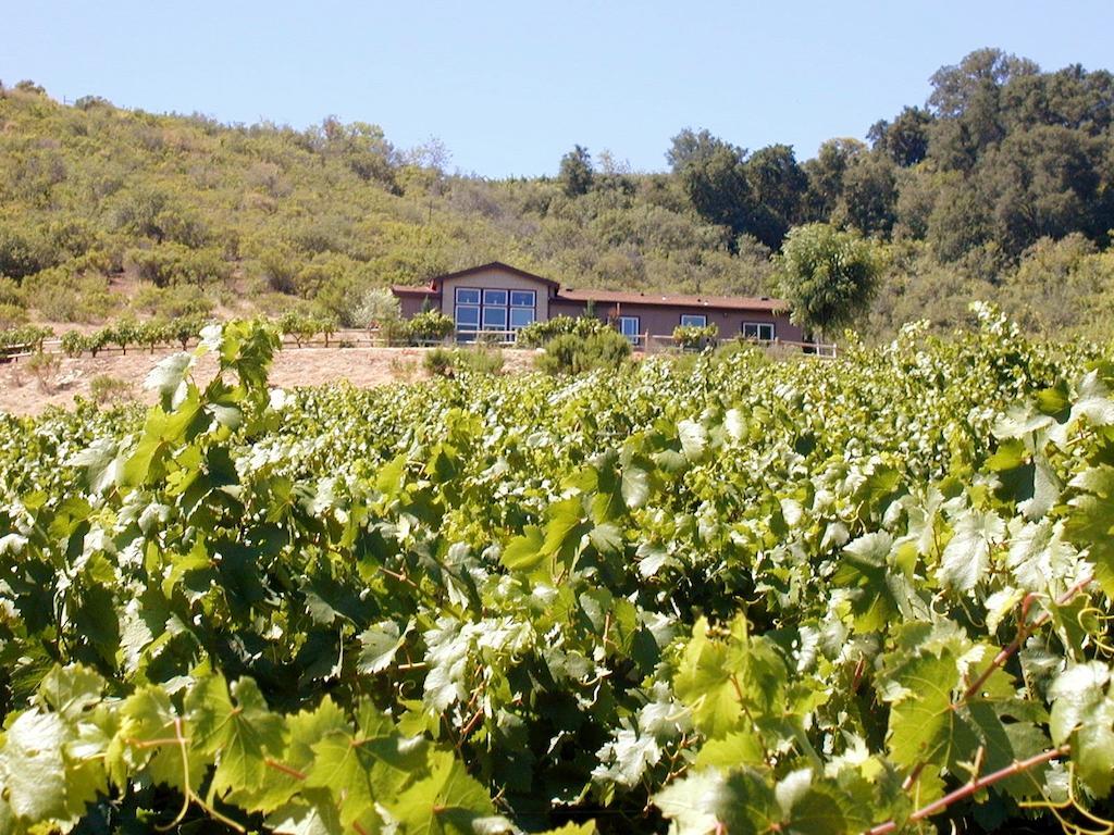 Sirena Vineyard Resort - 3 Bedroom Guest House Paso Robles Exterior photo